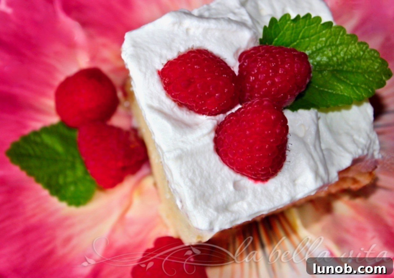 Classic Tres Leches Cake 2 Delicious Tres Leches Cake garnished with fresh berries and mint