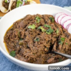 Barbacoa in a bowl topped with cilantro.