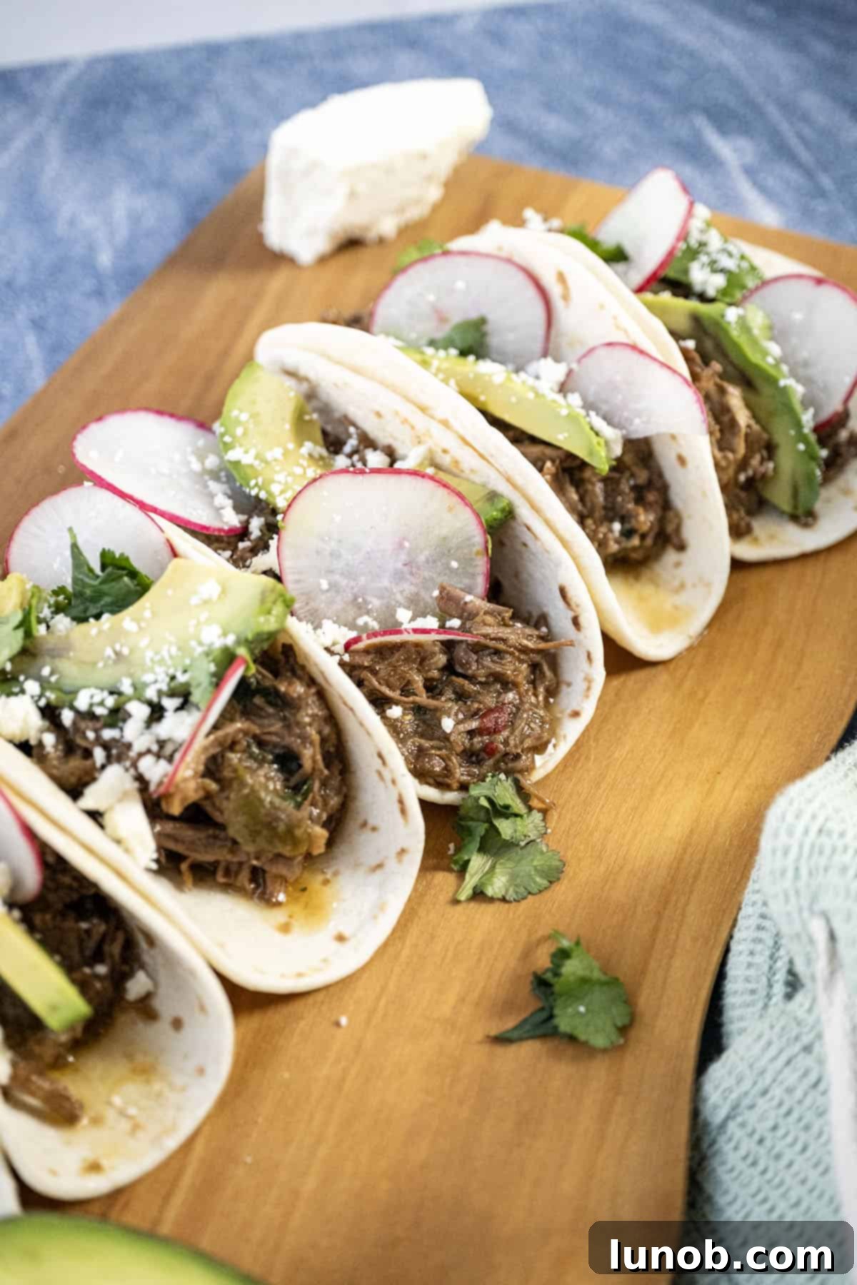 Beef barbacoa tacos with sliced radish, avocado, and cotija cheese.