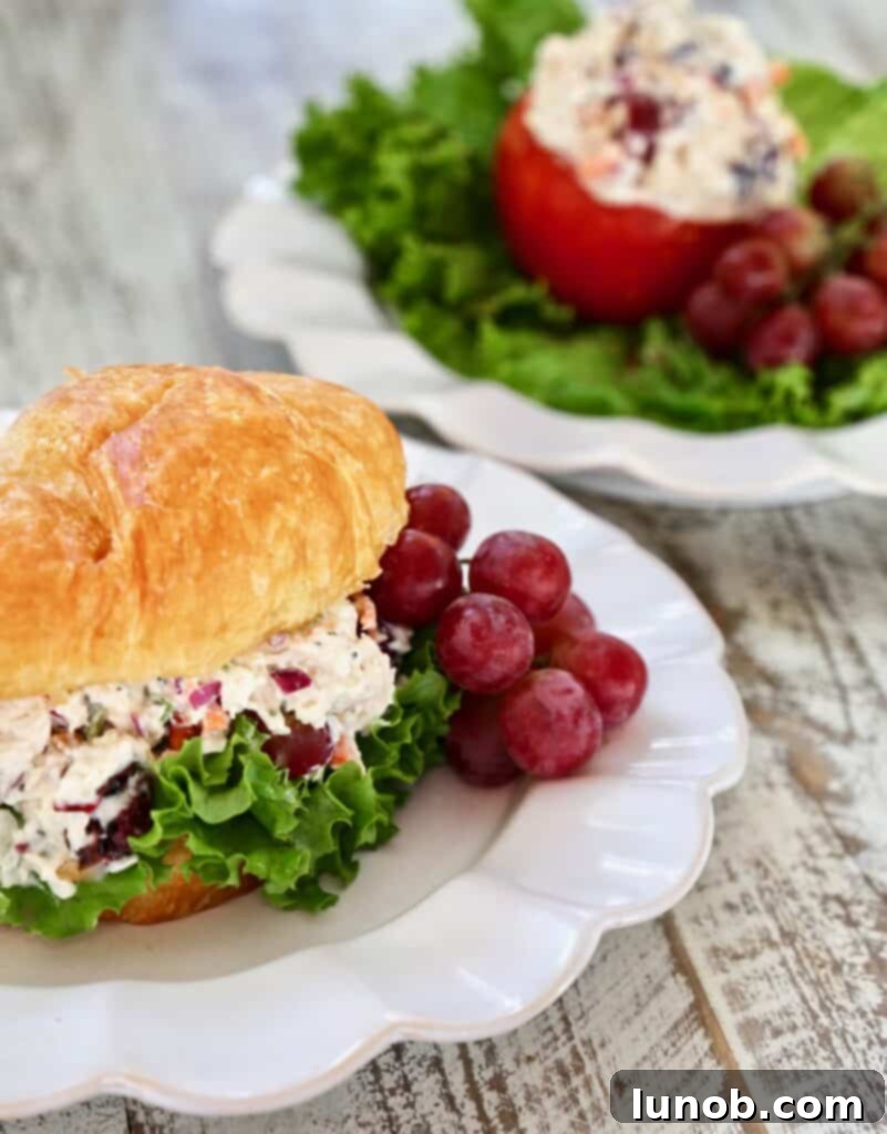 The Best Chicken Salad Ever 2 The Best Chicken Salad with Dried Cranberries and Grapes