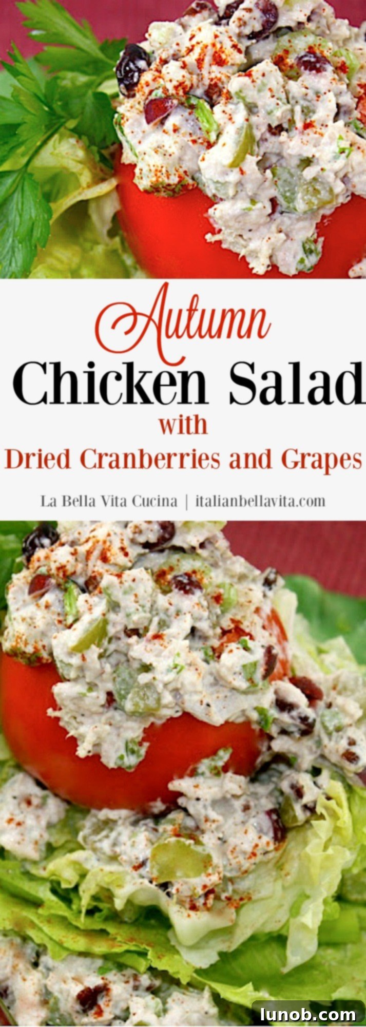 Autumn Chicken Salad with Dried Cranberries and Grapes - Pin