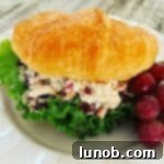 The Best Chicken Salad with Dried Cranberries and Grapes