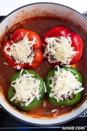 Stuffed bell peppers, topped with mozzarella cheese, arranged upright in a Dutch oven filled with rich tomato sauce, ready for baking.