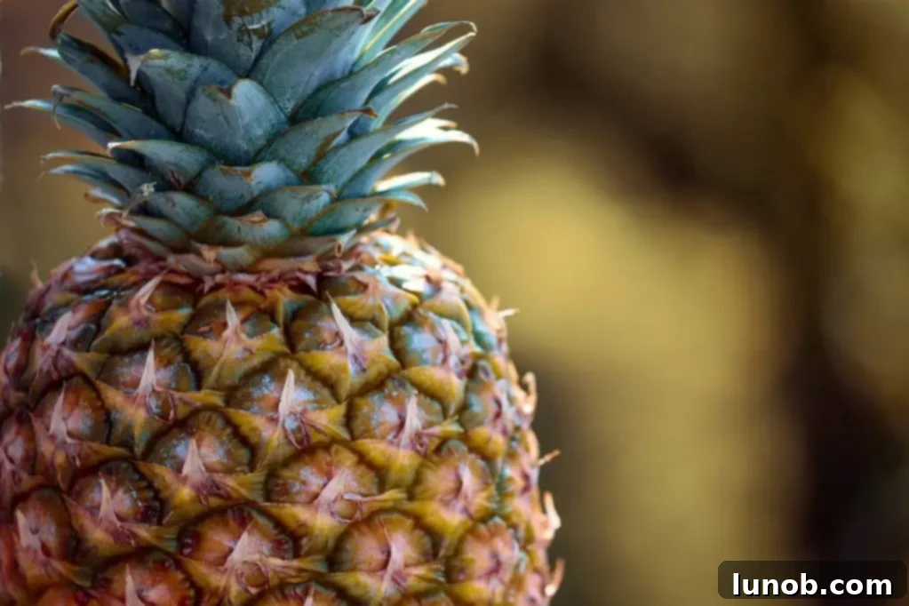 Fresh pineapple chunks, a key ingredient for detox smoothies.