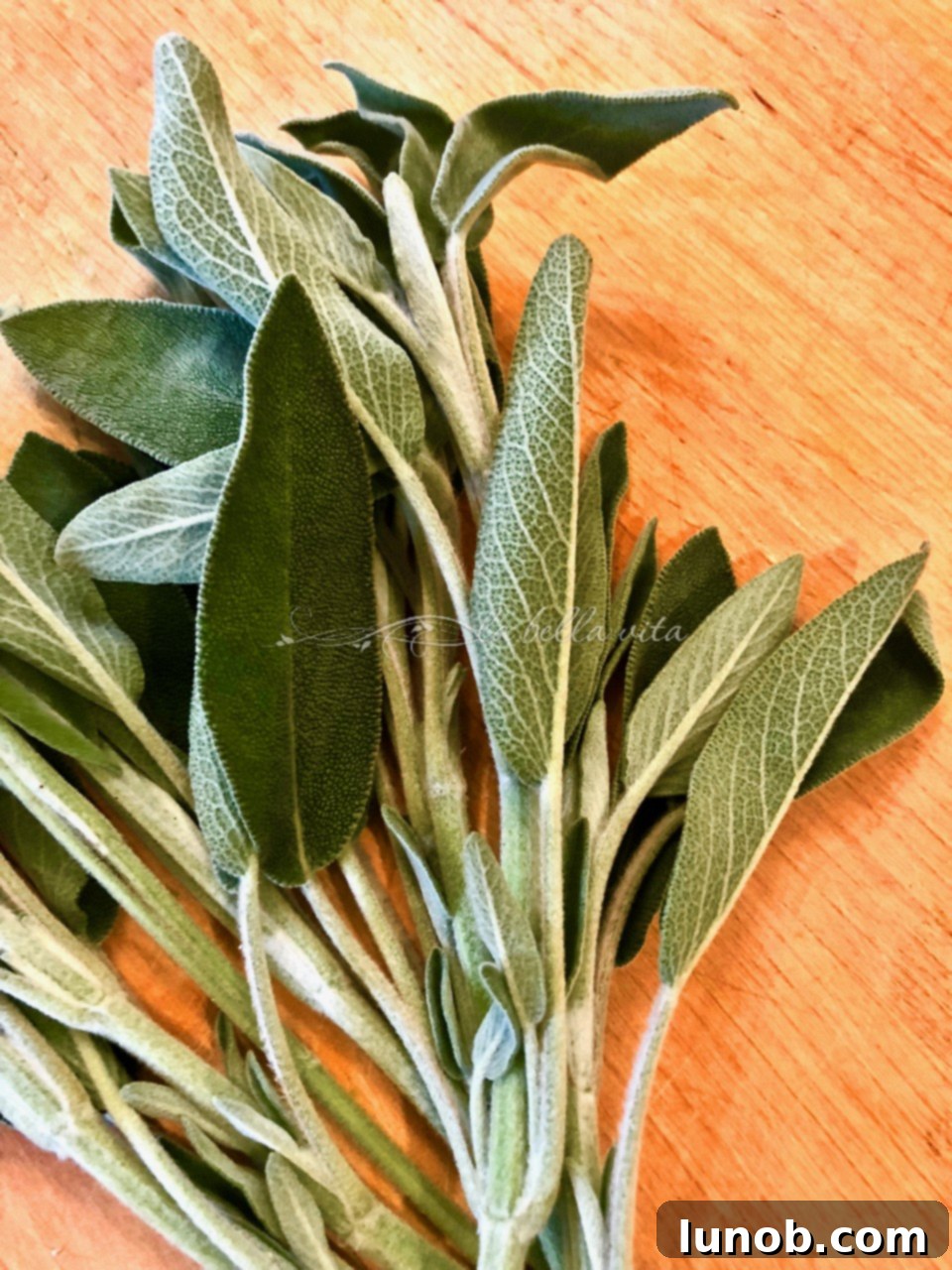 Instant Pot Hearty Pasta e Fagioli Soup 14 Adding Sage to Pasta e Fagioli