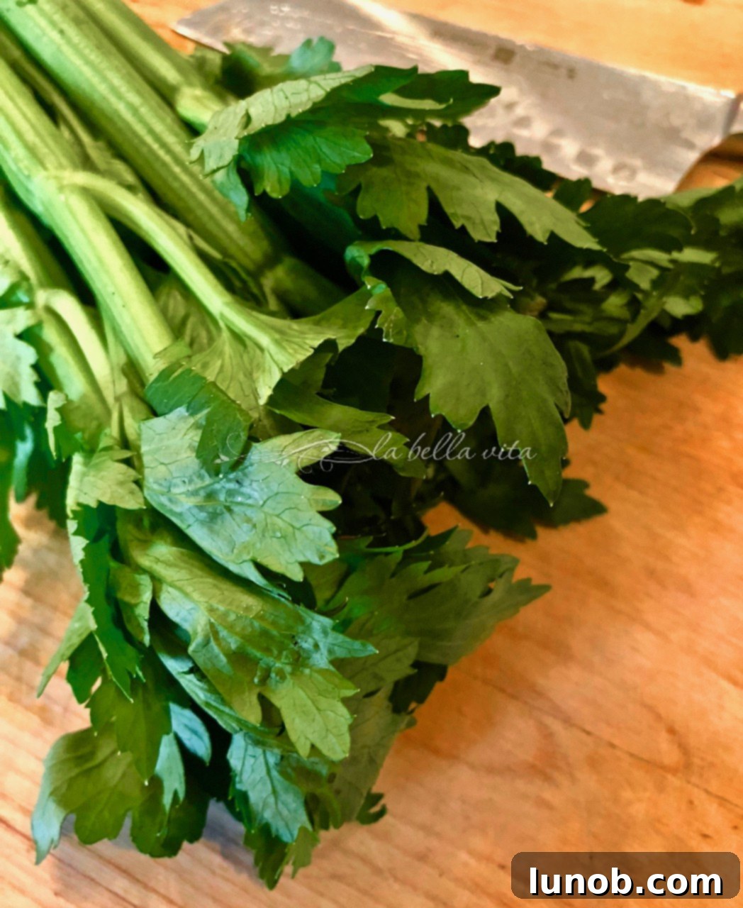 Instant Pot Hearty Pasta e Fagioli Soup 6 Celery Leaves for Pasta e Fagioli