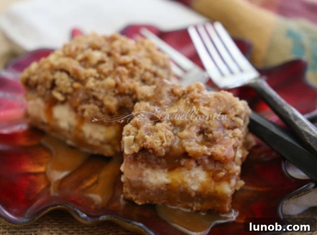 Winning Game Day Eats For Every Fan 27 Delicious apple caramel cheesecake bars with a streusel topping.