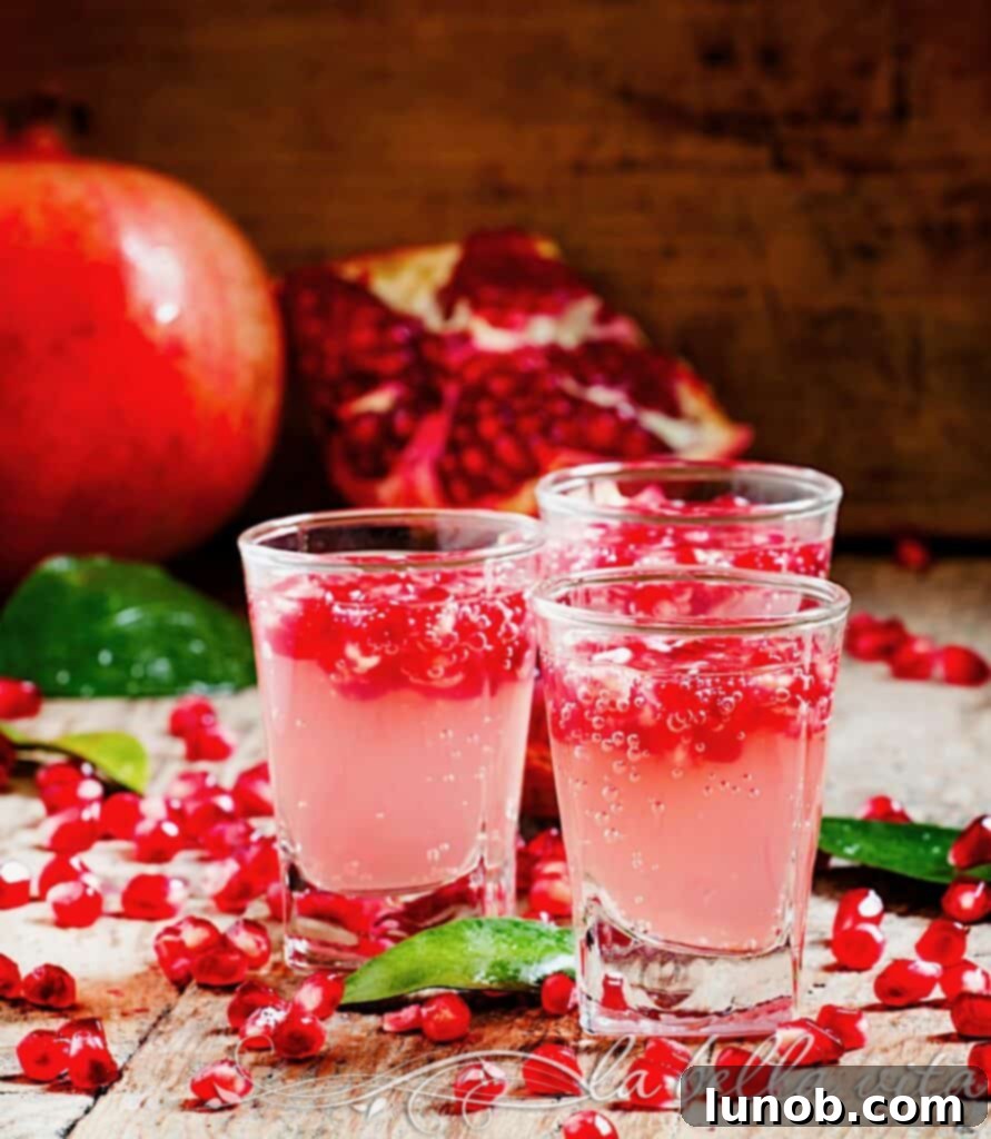 Lemon Pomegranate Fizz