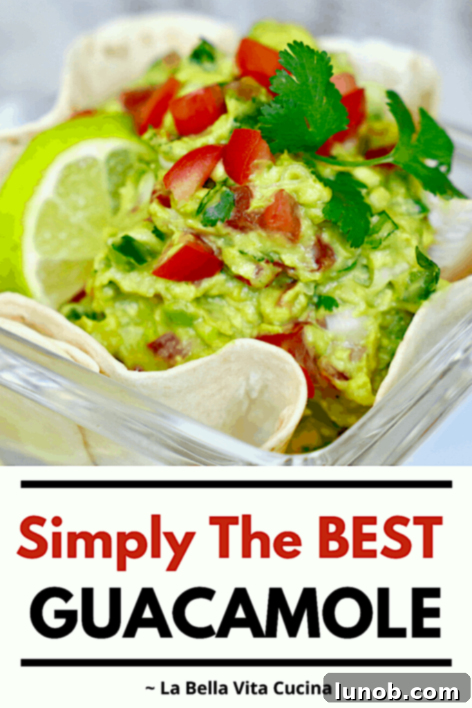 The BEST GUACAMOLE
