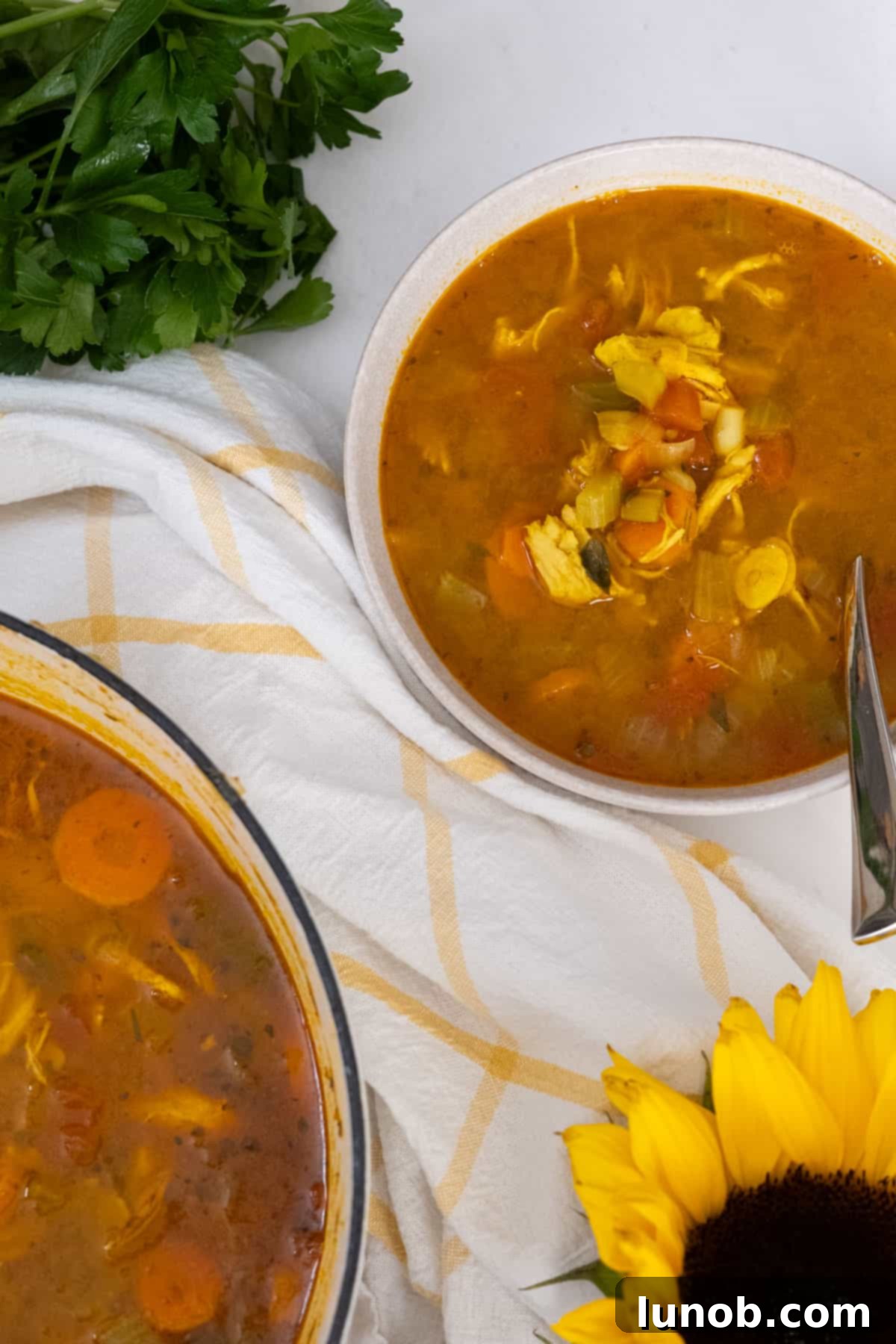 chicken in farro soup in a bowl with the pot next to it