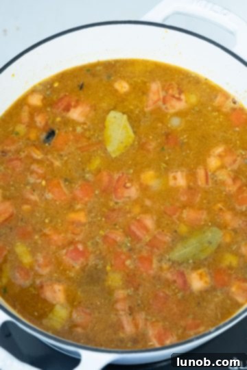 everything added to the soup