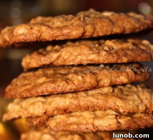 Cinnamon Toffee Praline Oatmeal Cookies for Pinterest
