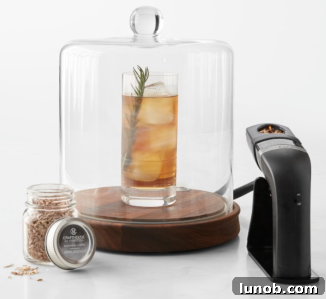 Father's Day Delights: Foodie Gifts for the Culinary Dad 11 Cocktail Smoker Cloche - Fortessa