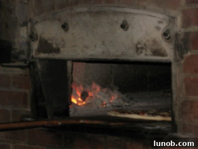 Big Apple Snapshot 4 Perfect NY pizza from John’s Coal-Fired Pizzeria in the Theatre District