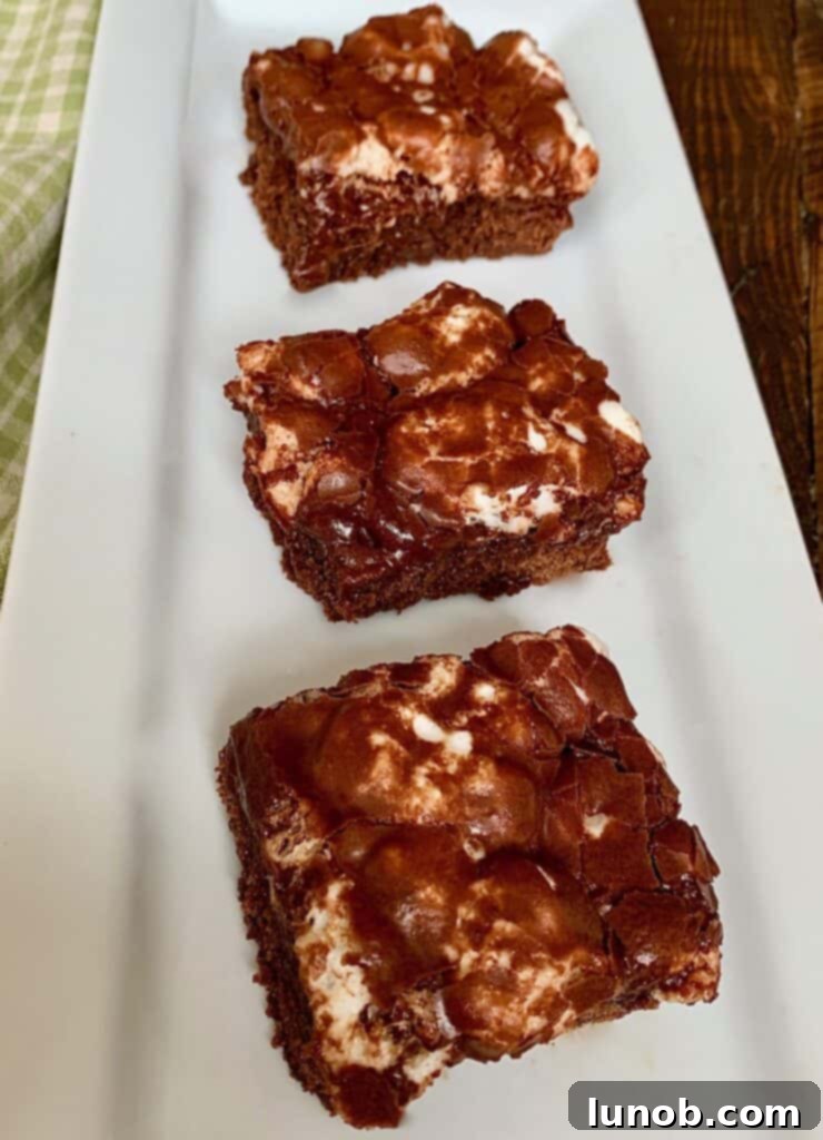 Delicious and fudgy Mississippi Mud Cake, a classic Southern chocolate dessert.