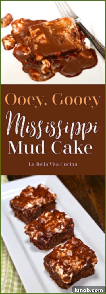 A large slice of Mississippi Mud Cake, showcasing its rich, gooey layers.