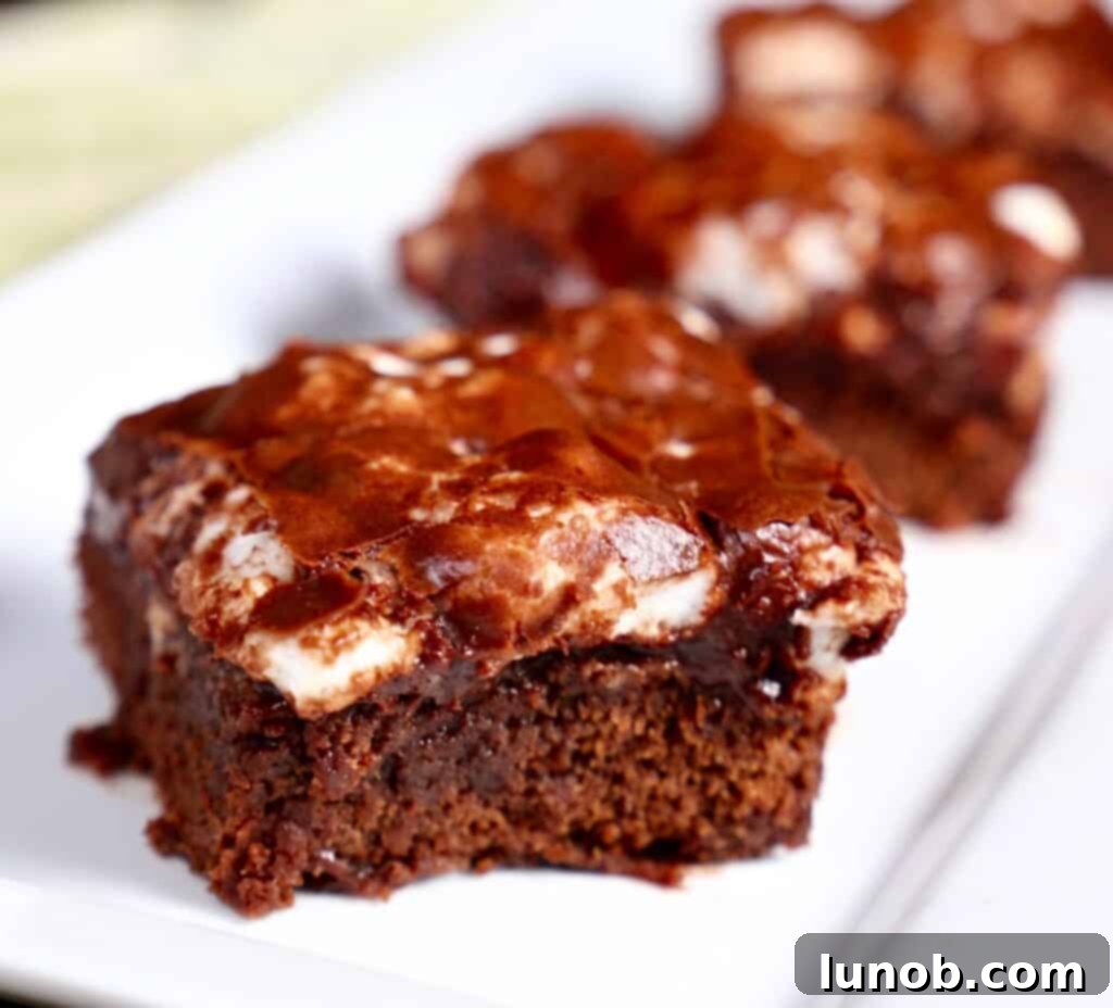 Close-up of a slice of Ooey, Gooey, Mississippi Mud Cake, showing layers.