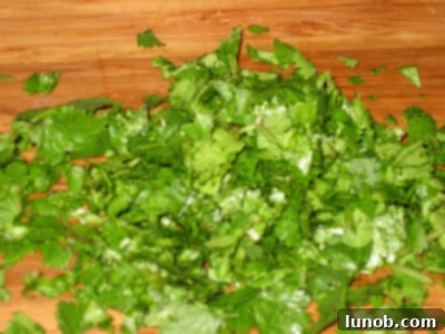 Fresh cilantro, finely chopped