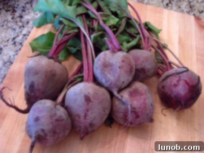 Gorgeous, huge red beets with vibrant skin, freshly picked from the market