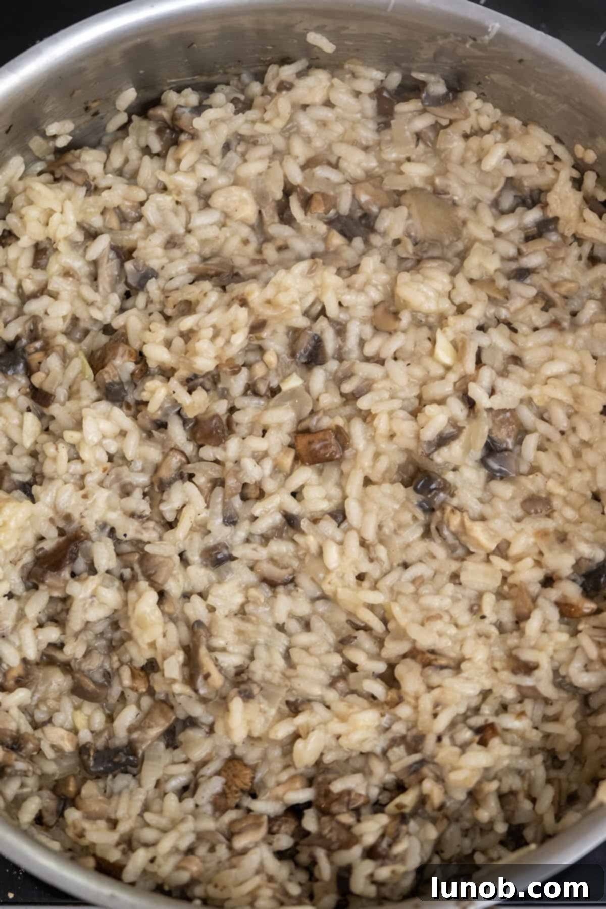 Velvet Truffle Mushroom Risotto 12 mushrooms, parmesan cheese, truffle oil, and butter added to creamy risotto