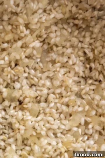 Velvet Truffle Mushroom Risotto 8 toasted arborio rice with little white pills visible