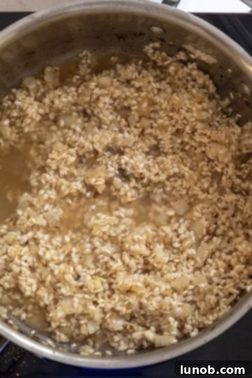 Velvet Truffle Mushroom Risotto 10 chicken broth being added to risotto
