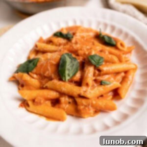 Fiery Vodka Pasta 10 Plate of penne with vodka sauce.