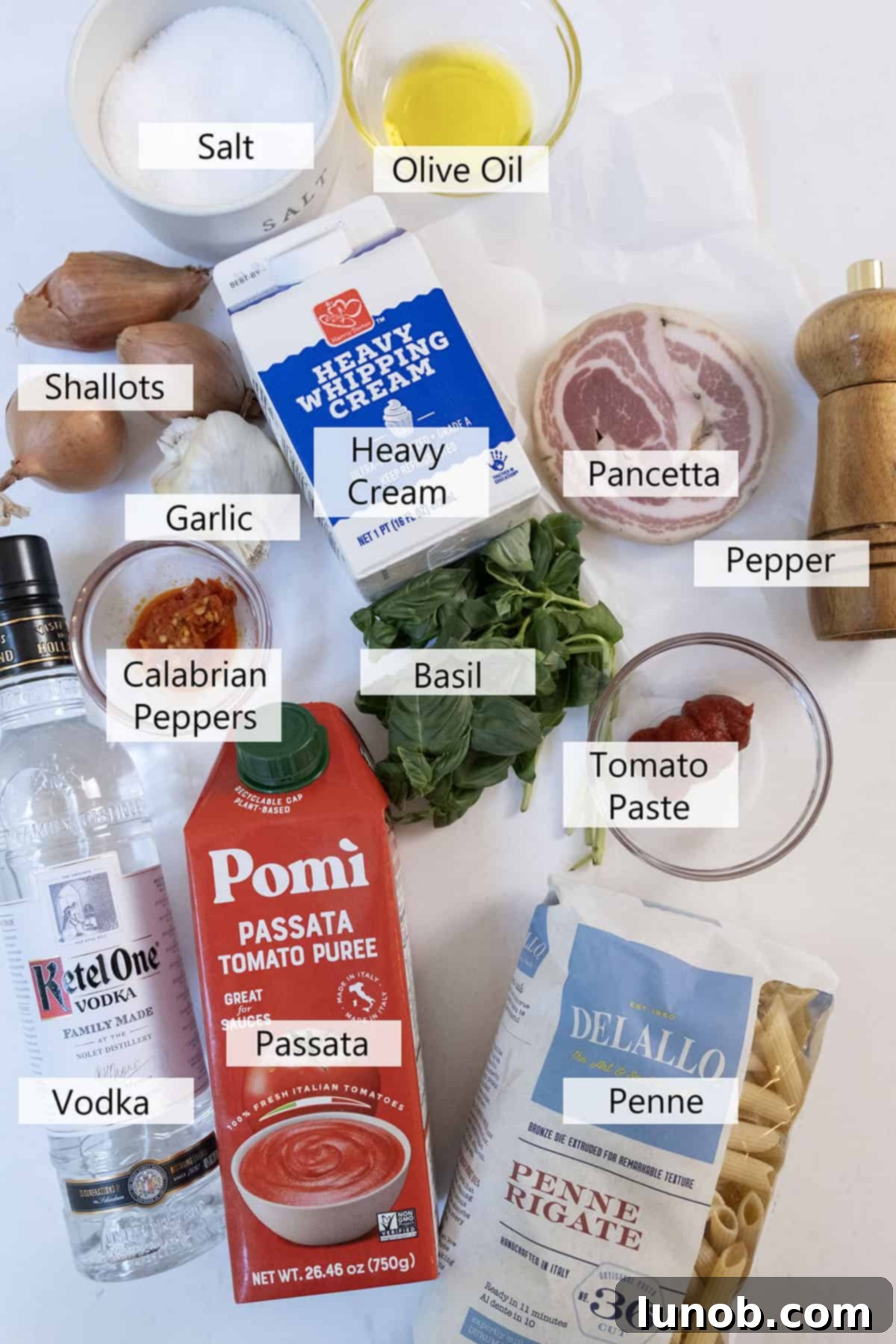 Fiery Vodka Pasta 3 Fresh ingredients laid out for making spicy vodka sauce: pancetta, shallots, garlic, passata, vodka, heavy cream, and Calabrian chili peppers.