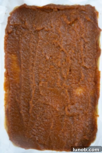 blondies dough covered with an even layer of pumpkin butter, ready for topping