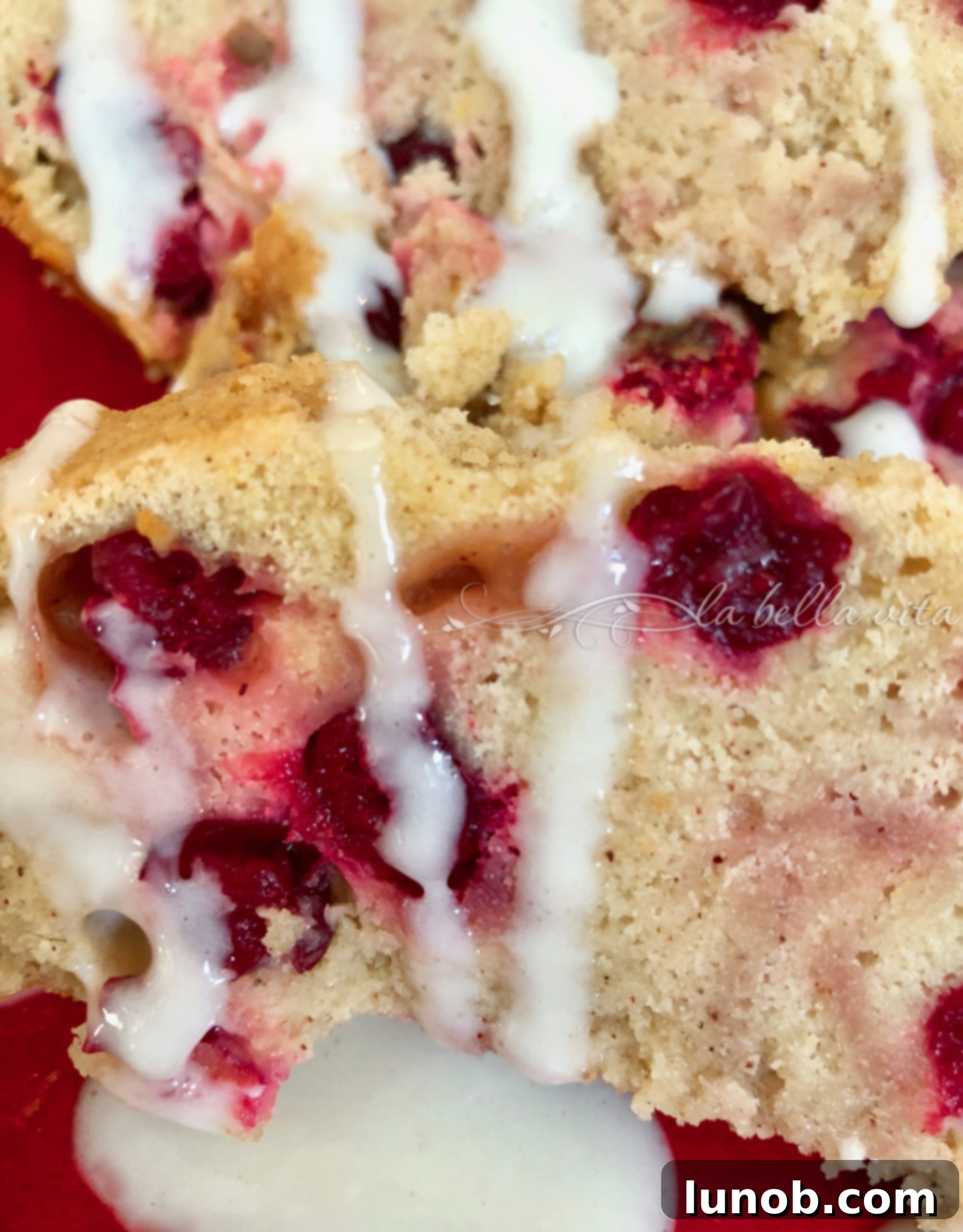 Close up of a slice of Italian Cranberry Orange Bundt Cake