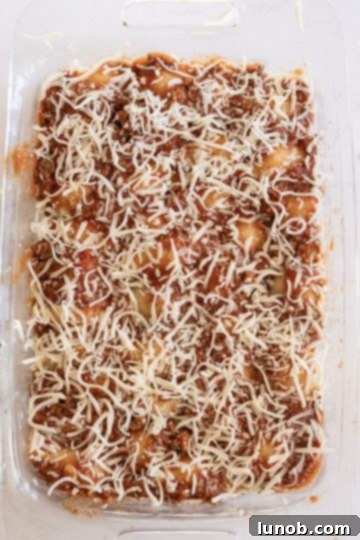 Layer of shredded mozzarella cheese topping the stuffed shells and meat sauce.