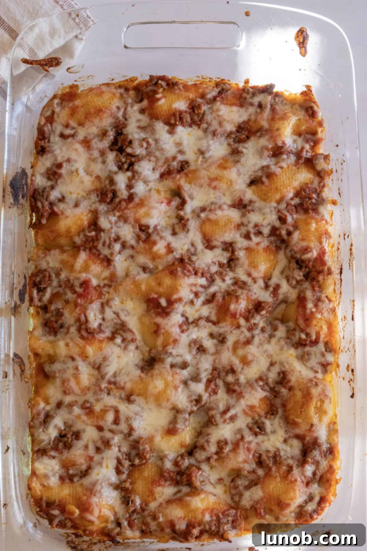 Baked Italian stuffed shells fresh out of the oven, cheese golden and sauce bubbling.