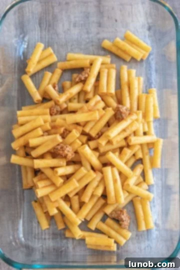 First layer of par-cooked ziti pasta in a baking dish