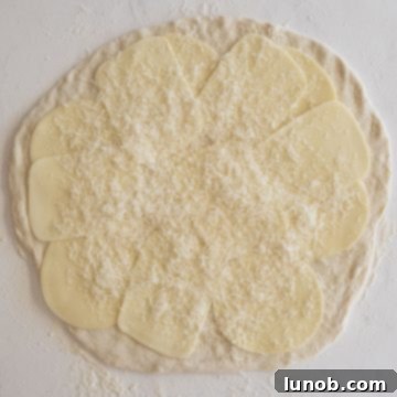 Rolled dough topped with generous layers of fresh mozzarella, provolone, and grated parmesan cheeses.