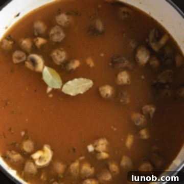 broth and bay leaves added to barley lentil soup