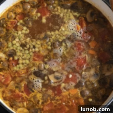 simmering barley lentil soup with lentils and barley