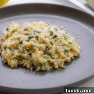Bright Lemon Spinach Orzo 8 A vibrant bowl of lemon spinach orzo, garnished with fresh lemon slices and green herbs, ready to be served.