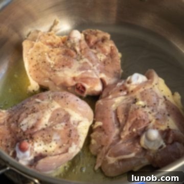 Braised Chicken Thighs with Red Wine and Fennel 3 searing chicken thighs