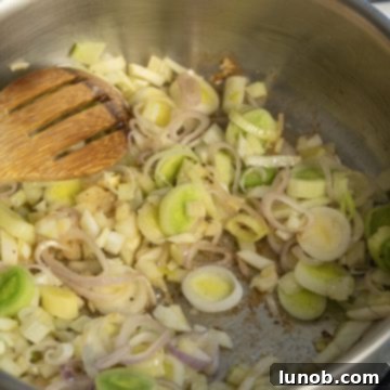 Braised Chicken Thighs with Red Wine and Fennel 4 leeks and fennel caramelizing