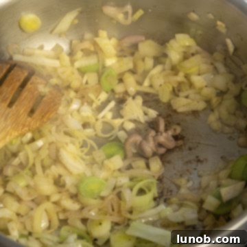 Braised Chicken Thighs with Red Wine and Fennel 5 anchovy paste combined with red wine