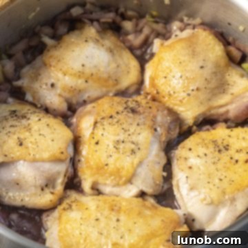 Braised Chicken Thighs with Red Wine and Fennel 7 Chicken thighs braising in red wine and fennel sauce