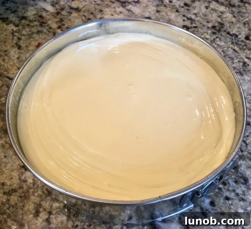 Cheesecake Perfection 12 The springform pan with cheesecake filling, ready for the oven.