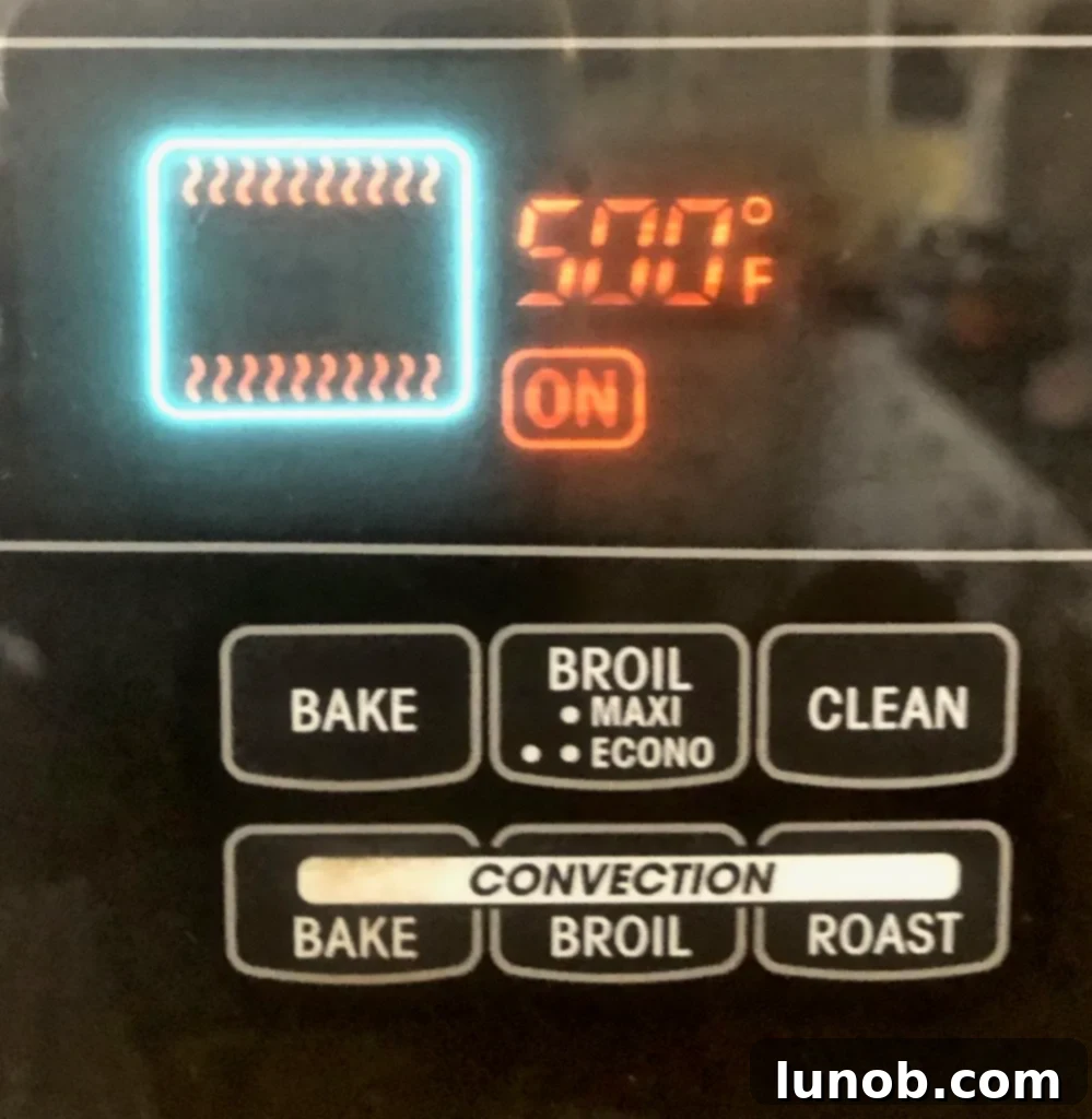 Cheesecake Perfection 13 The cheesecake pan on a pizza stone, ready to go into the oven.