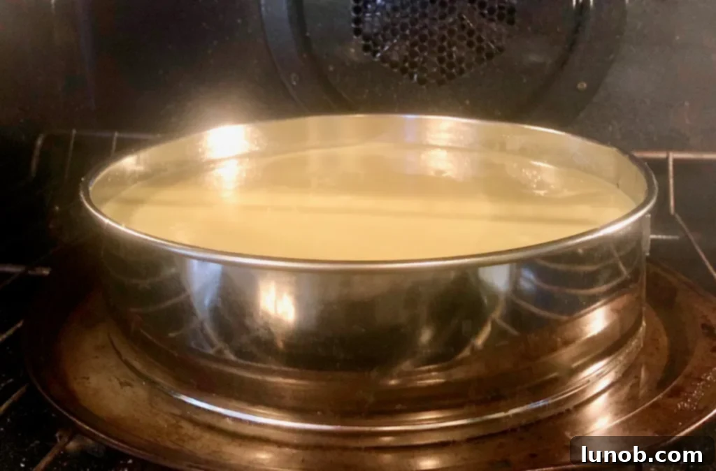 Cheesecake Perfection 14 The unbaked cheesecake placed on a pizza pan in the oven.