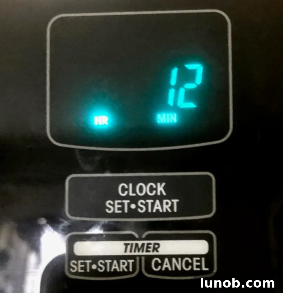 Cheesecake Perfection 15 A close-up of the oven timer set for 12 minutes.