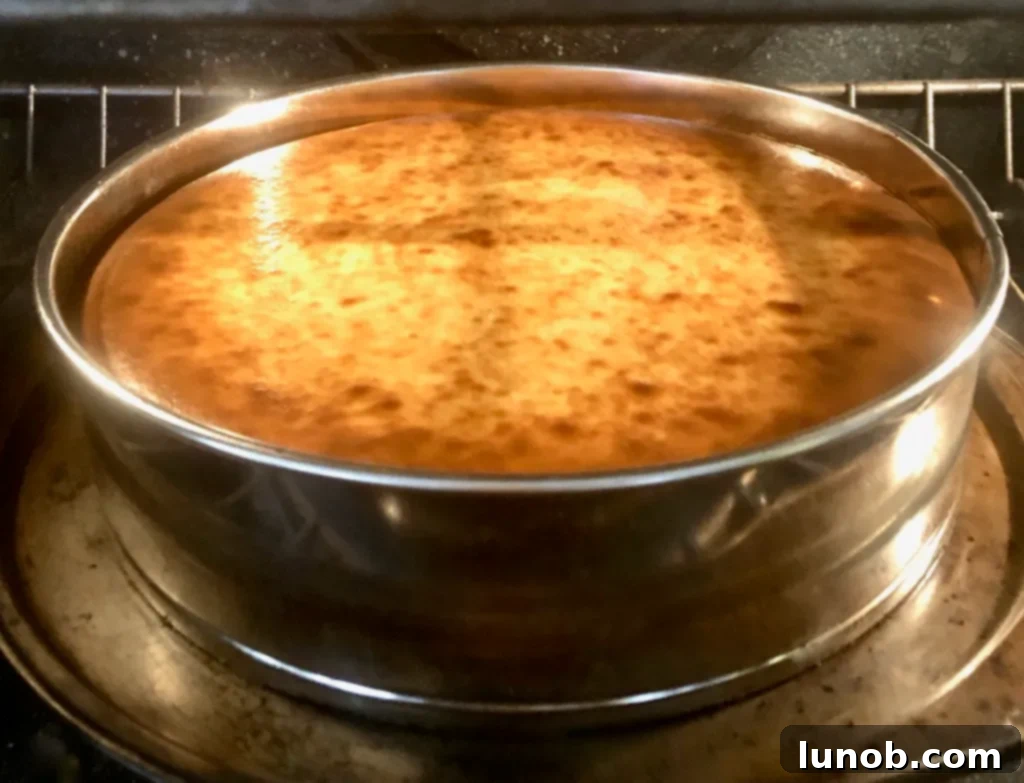 Cheesecake Perfection 16 Cheesecake after 12 minutes of baking, slightly puffed at the edges.