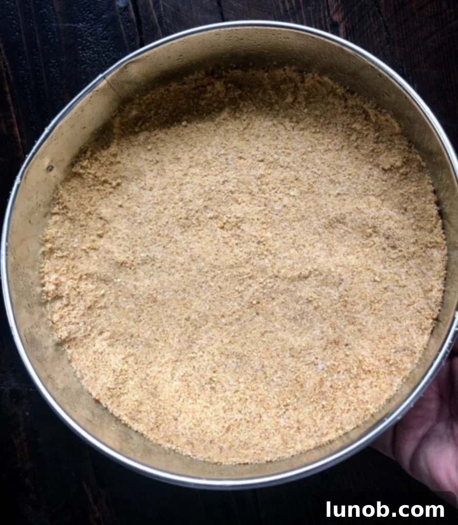 Cheesecake Perfection 5 Pressing the graham cracker crust into a springform pan.