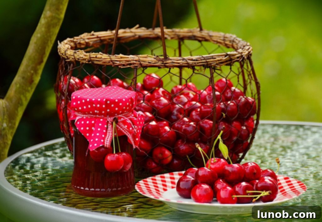 Basket of fresh cherries