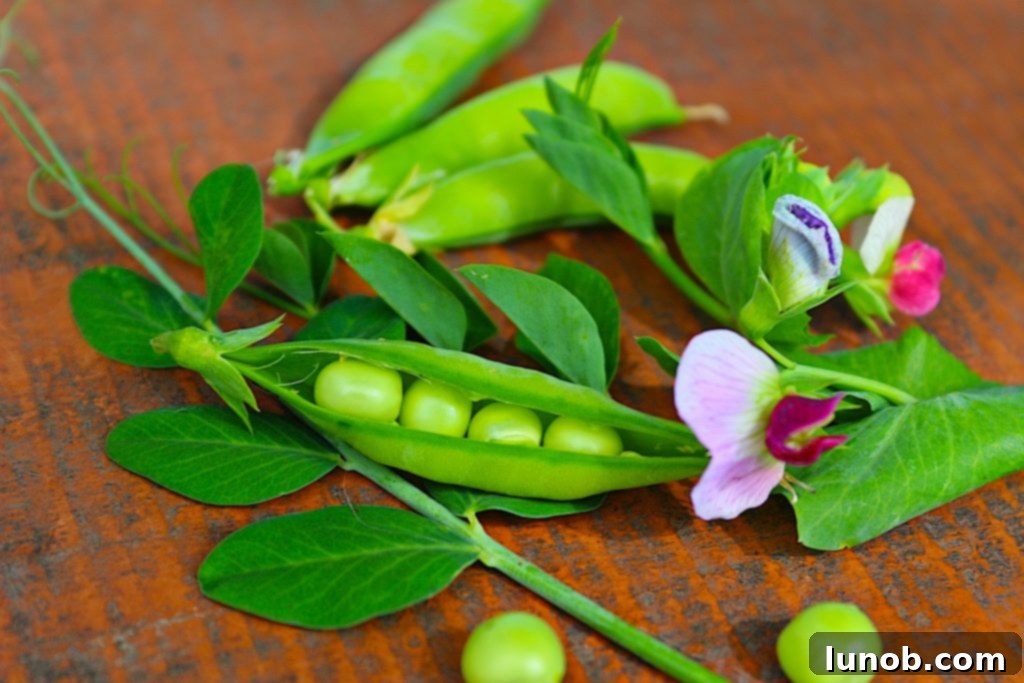 Fresh peas still in pod