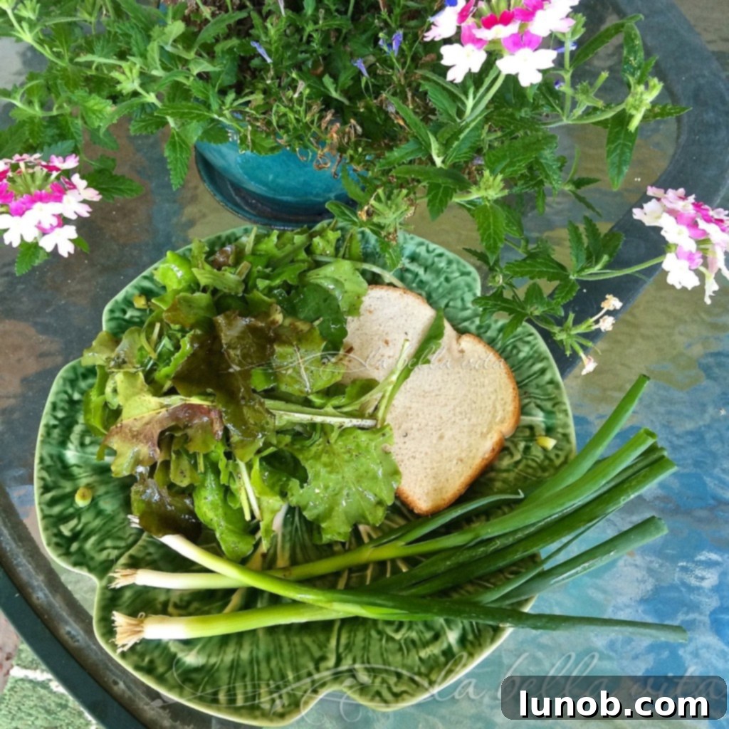 Looseleaf lettuce salad